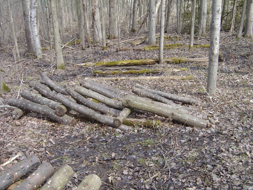 Alternate stacking pattern for logs during spawn run